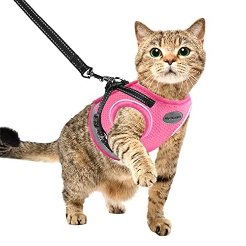 Cat Harness and Leash for Walking, Kitten Escape Proof Harnesses, Adjustable Reflective Puppy Harness with Leashes Set, Easy Adjustable Soft net Breathable Pet Safety Vest - Image 1