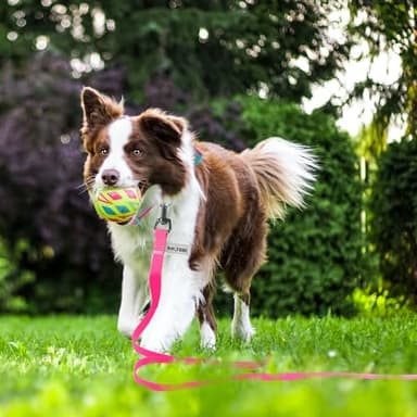 Wolfone 40ft Pink Long Leash - Waterproof Training Dog Leash for Recall, Swimming, Camping, Beach, Hunting, Walking - Image 4