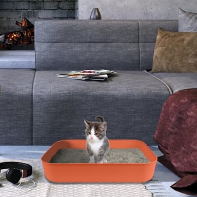 Small Litter Box, Plastic Kitten Litter Box, 13.9 x 9.8 x 3 Inch Open Litter Box for Small Pet, Easy to Clean (Orange 4PCS) - Image 7