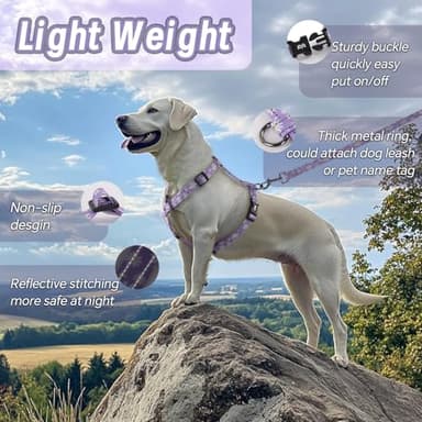 Dog Harness Leash Set, No Pull Adjustable Halter Cute Comfort Padded Handle for Medium Sized Large Small Dogs Walking Training Running with Reflective(XSmall,Purple) - Image 3