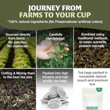 HANDPICK Original Tulsi Tea (100 count) Holy Basil Calming and Stress Relief Tea, Immune Support | Non-GMO, Caffeine-Free Herbal Tea | Ecofriendly Round Tea Bags - Image 5