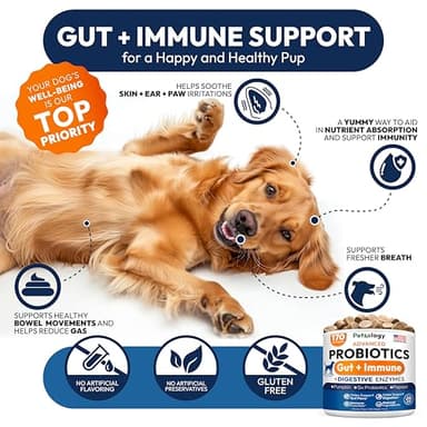 Probiotics for Dogs - 170 Dog Probiotics Chews - Digestive Enzymes & Prebiotics - Support Gut Health, Diarrhea, Gas & Constipation Relief - Itchy Skin, Allergies, Yeast Balance - Advanced Supplement - Image 4