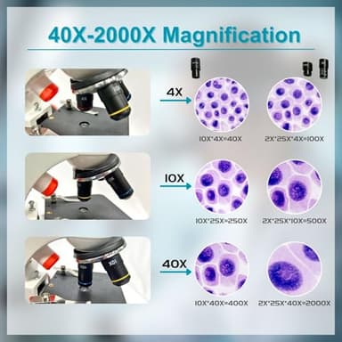 MicroMarvels Metal Body Compound Microscope for Students, 40X-2000X Dual LED Light, Biological Microscope for Home School Lab, with Type-C Power & Phone Adapter - Image 3