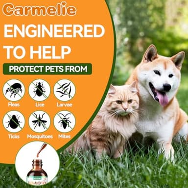 Oral Flea and Tick Support for Dogs and Cats, Natural Dog Flea and Tick Defense, Cat Flea Drops Supplements with Vitamin for Pets - All Breeds and Ages - Bacon - Image 7