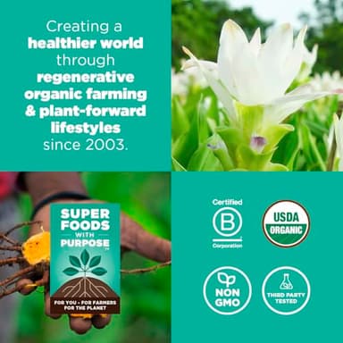 Navitas Organics Golden Latte, 3.1oz Bag, 10 Servings — Organic, Non-GMO, Dairy-Free - Image 5