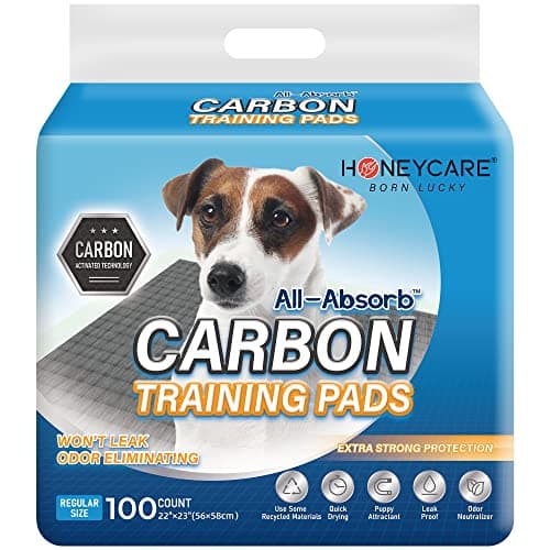 HONEY CARE All-Absorb Puppy Training Pads | Doggie Potty Pads Absorb Eliminating Urine Odor, Ultra Charcoal Dog Pee Pad (Carbon, L 22x23 inch, 100ct) - Image 1