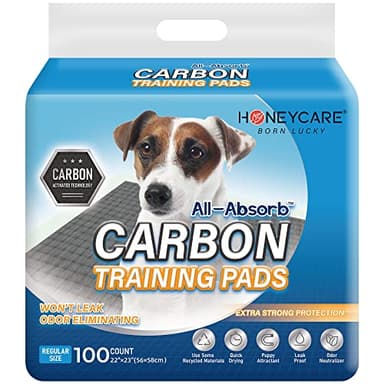 HONEY CARE All-Absorb Puppy Training Pads | Doggie Potty Pads Absorb Eliminating Urine Odor, Ultra Charcoal Dog Pee Pad (Carbon, L 22x23 inch, 100ct) - Image 1