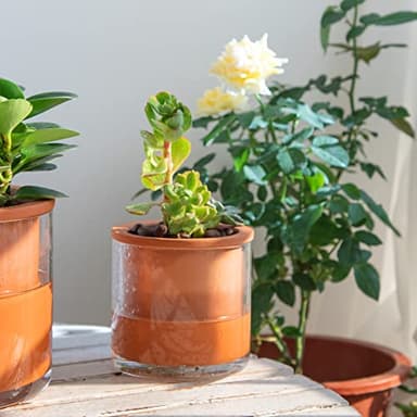 Phoenix Vine 4 Inch Self Watering Plants Pot, Design Terracotta Pot for Plants, Indoor Cylinder Terra Cotta Planter with Glass Vase, Set of 1, 51-A-E-1 - Image 2