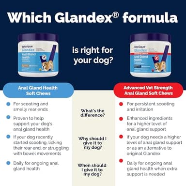 Vetnique Glandex Anal Gland Soft Chew Treats with Pumpkin for Dogs Digestive Enzymes, Probiotics Fiber Supplement for Dogs Boot The Scoot (Peanut Butter Chews, 60 Count) - Image 7