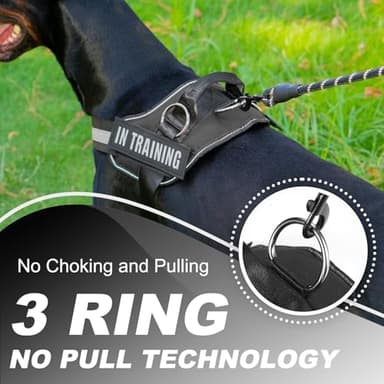 JUSTYEZI Essential Dog Harness with 3 Leash Clips - No-Pull, Adjustable, Comfortable Pet Vest Harness for Small to Large Dogs - Easy On, No Choke, Reflective, Padded Harness for Walking and Training - Image 4