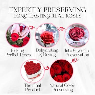 GLAMOUR BOUTIQUE Preserved Roses in a Box - Gifts for Her, Wife & Mom, Rose Flowers Forever Decor for Birthday Gift, Get Well Flower Bouquet Cased in White Box with Cover - Red - 16-Piece - Image 7