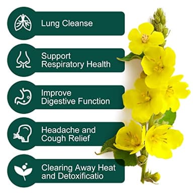 Mullein Leaf Tea Bags - Lungs Cleanse and Respiratory Support, Herbal Teas, Caffeine Free, 30 Tea Bags - Image 2