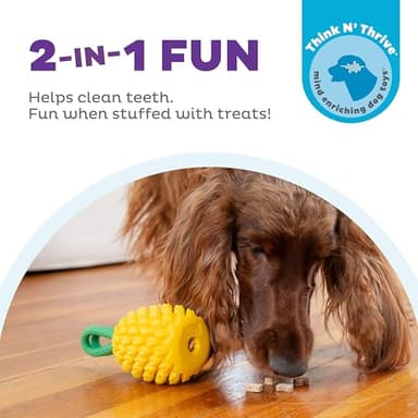 Outward Hound by Planet Dog Dental Pineapple Dental Chew Toy and Interactive Treat Stuffer Durable Dog Toy Stuffable Dog Toy, Yellow - Image 2