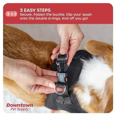 Downtown Pet Supply Step-in Dog Harness – No Pull, Adjustable Padded Mesh with Reflective Trim, Secure Buckle Strap – Comfortable & Breathable Small Dog Harness, Small, Charcoal - Image 5