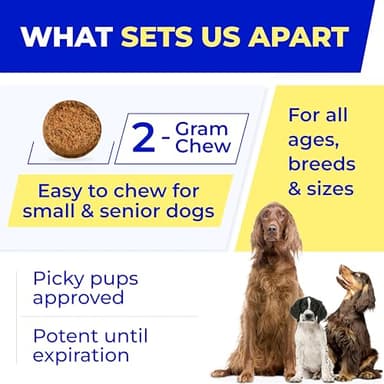 Pet Probiotics for Dogs & Digestive Enzymes for Dogs | Gut Health & Digestive Function Support | Pumpkin & Omega | Prebiotic Supplement Chews - Image 5