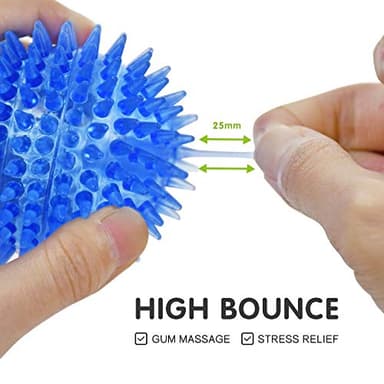 SHARLOVY Squeaky Balls for Pet Small Puppy, TPR Fetch Spike Balls for Dogs, Rubber 6 Pack Bright Colors Chew Teething Dog Toys - Image 5