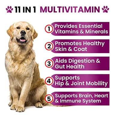 Dog Multivitamin Chewable with Glucosamine - Dog Vitamins and Supplements, Senior & Puppy Multivitamin for Dogs - Pet Chondroitin Hip and Joint Support Health, Immune Booster, Skin, Heart, Probiotics - Image 2