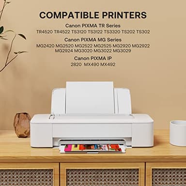 Abfray 245XL 246XL Ink Cartridge Combo Pack Replacement for Canon PG-245XL CL-246XL for PIXMA MG2420 MG2520 MG2522 MG2525 MG2920 MG2922 MG2924 MG3020 MG3022 MG3029 TR4520 1245 Printer - Image 2