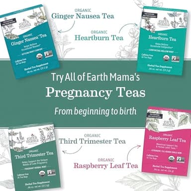 Earth Mama Organic Raspberry Leaf Tea Bags | Labor Tonic & Menstrual Support Herbal Tea, Red Raspberry Leaf Tea for Pregnancy & Postpartum Care Recovery, Caffeine Free Tea, Non GMO, (16 Teabags, 3-Pk) - Image 7