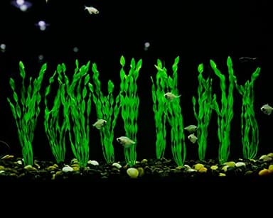 MyLifeUNIT Artificial Seaweed Water Plants for Aquarium, Plastic Fish Tank Plant Decorations 10 PCS (12 Inches Tall, Green) - Image 5