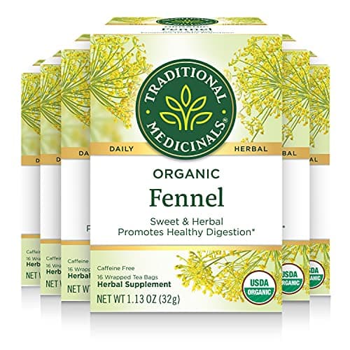 Traditional Medicinals Tea, Organic Fennel, Promotes Healthy Digestion, 96 Tea Bags (6 Pack) - Image 1