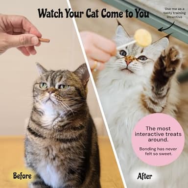 MalsiPree Cat Treats Freeze-Dried Chicken Lollipops - 18 Pack, 5.5 Cal Each - High-Protein Nutrient Rich Healthy Snacks - Interactive Cat Toy & Food Toppers - Image 4