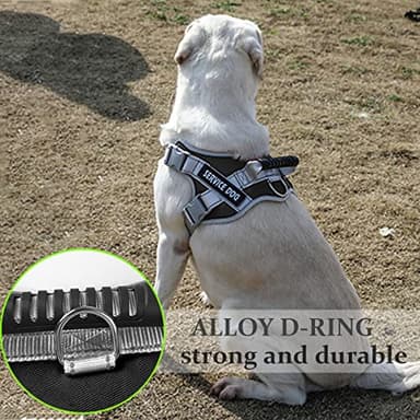 Dogmify Service Dog Vest,No Pull in Training Service Dog Harness and 5FT Dog Leash Set, Adjustable 3M Reflective Nylon Pet Dog Vest with Handle,Easy Control for Small Medium Large Dogs(S,Black) - Image 2