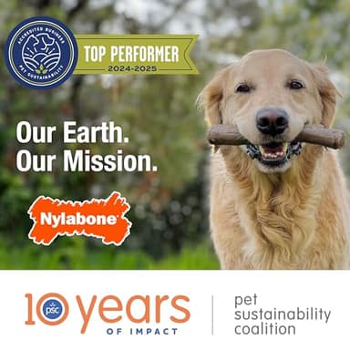 Nylabone Limited Edition 70th Birthday Textured Bone Power Chew Toy for Dogs, Durable & Tough Dog Toys for Aggressive Chewers, Roasted Chicken Flavor, X-Large Dogs - 50+ lbs (1 Count) - Image 12
