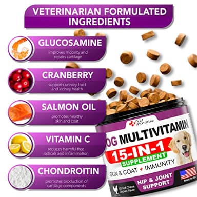 Dog Multivitamin Chewable with Glucosamine - Dog Vitamins and Supplements - Senior & Puppy Multivitamin for Dogs - Pet Joint Support Health - Immunity - Mobility - Energy - Gut - Skin - 120 Chews - Image 3