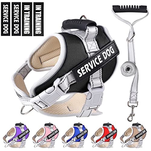 Dogmify Service Dog Vest,No Pull in Training Service Dog Harness and 5FT Dog Leash Set, Adjustable 3M Reflective Nylon Pet Dog Vest with Handle,Easy Control for Small Medium Large Dogs(S,Black) - Image 1