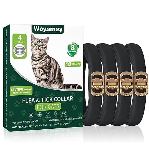 4 Pack Flea Collar for Cats, Cat Flea and Tick Treatment, 8 Months Protection Flea and Tick Prevention for Cats, Waterproof Cat Flea Collar, Adjustable Cat Flea and Tick Collar for Cats Kittens, Black - Image 1