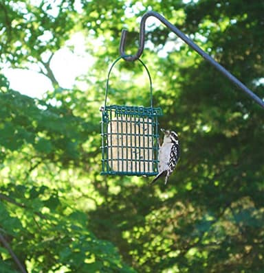 Wildlife Sciences High Energy Suet Cake 10 Pack - Image 3