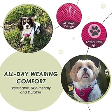 SlowTon Dog Seat Belt Harness for Car, Dog Car Harness Adjustable Mesh Breathable & Dog Seatbelt Safety Tether with Elastic Bungee for Small Medium Large Pets(Fuchsia, Double Clip, M) - Image 2
