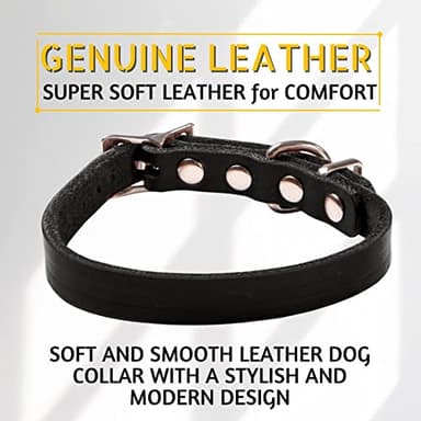 ADITYNA Extra-Small Leather Dog Collar for XS Dogs - Classic, Soft, Strong, Heavy Duty, Handmade Top-Grain Leather - for Walking, Training, and Hiking - Image 3