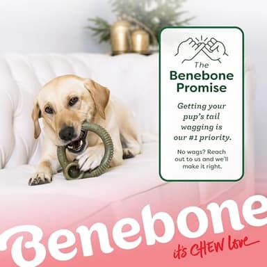Benebone Peppermint Ring – Limited Edition Holiday Flavor, Durable Chew Toy for Aggressive Chewers, Made in USA, Medium - Image 6
