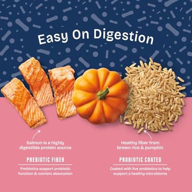 Natural Balance Health Protection Dry Dog Food – Whole Body Health, Easy on Digestion Dog Food Made with Salmon, Brown Rice & Pumpkin for Dogs - 4lbs. - Image 5
