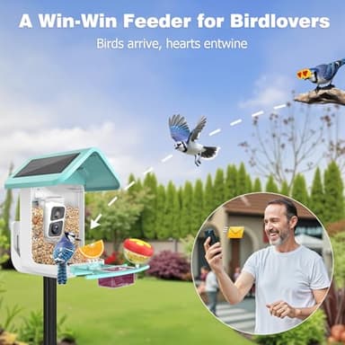 Viubird Bird Feeder with Camera: Solar Powered Smart Bird Camera Feeder 2K Live Feed for Backyard - AI Identify Auto Capture Videos, Gifts for Birdlovers Mom Dad, 2.4GHz WiFi - Image 2