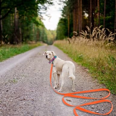 Wolfone 40ft Orange Long Leash - Waterproof Training Dog Leash for Recall, Swimming, Camping, Beach, Hunting, Walking - Image 6