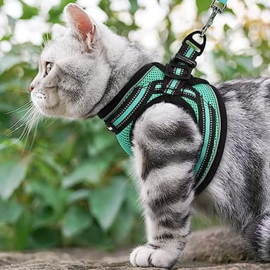 rabbitgoo Cat Harness and Leash Set for Walking Escape Proof, Adjustable Soft Kittens Vest with Reflective Strip for Cats, Comfortable Outdoor Vest,Green,S - Image 8