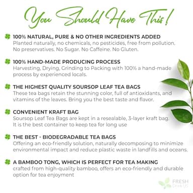 40 Premium Soursop Graviola Leaf Tea Bags, 100% Natural and Pure from Soursop Leaves, Handmade, Made With Natural Materials-Corn Fiber Tea Bag, Sugar/Caffeine/Gluten Free, Hoja Guanabana Tea - Image 3