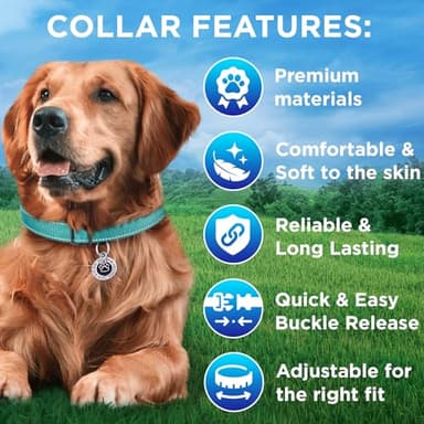 TECEUM Reflective Dog Collar – Teal – M – Extra Soft Padding – Basic Nylon Pet Collar – Quick Release Buckle – Fits Small, Medium and Large Dogs, Puppies, Cats – ESA & Service Dog Options - Image 3