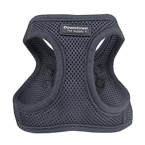 Downtown Pet Supply Step-in Dog Harness – No Pull, Adjustable Padded Mesh with Reflective Trim, Secure Buckle Strap – Comfortable & Breathable Small Dog Harness, Small, Charcoal - Image 1