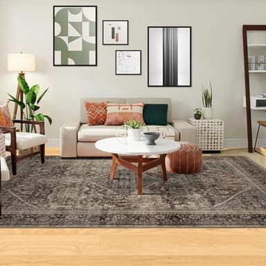 Domitapis Area Rug 5×7, Large Vintage Boho Rug,Ultra-Soft Low Pile, Washable, Non Slip,Stain Resistant, Printed Carpet for Living Room Bedrooms Playroom Office Kitchen,Oat/Antiquity - Image 1