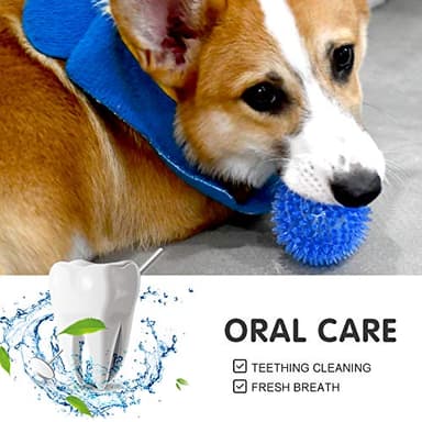 SHARLOVY Squeaky Balls for Pet Small Puppy, TPR Fetch Spike Balls for Dogs, Rubber 6 Pack Bright Colors Chew Teething Dog Toys - Image 6