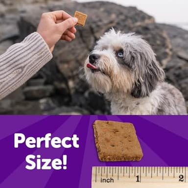 Wellness Rewarding Life Dog Treats, Training Treat, Grain Free, Soft Lamb & Salmon (6 Ounce Bag) - Image 4