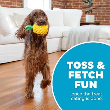 Outward Hound by Planet Dog Dental Pineapple Dental Chew Toy and Interactive Treat Stuffer Durable Dog Toy Stuffable Dog Toy, Yellow - Image 5