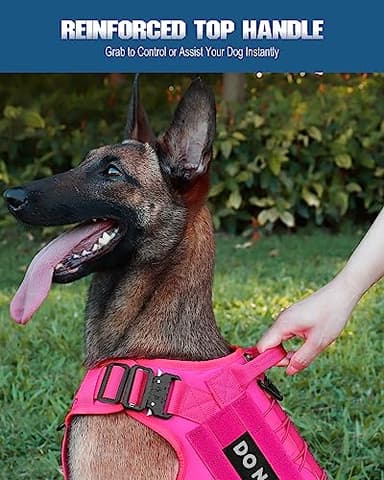 PETNANNY Tactical Service Dog Vest - No-Pull Emotional Support Harness with Hook & Loop Patches & Molle System for Training & Hunting (Pink, Large) - Image 4