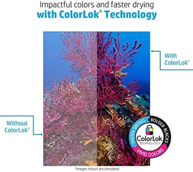 HP Printer Paper | 8.5 x 11 Paper | Copy &Print 20 lb | 1 Ream Case - 500 Sheets| 92 Bright | Made in USA - FSC Certified | 200060 - Image 6