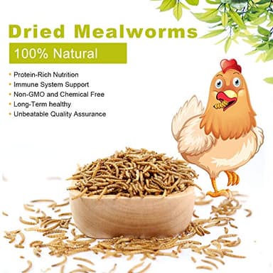 LuckyQworms 20lbs Mealworms, High-Protein Dried Mealworms for Birds, Chickens, Turtles, Fish, Hamsters and Hedgehogs, Non-GMO and Chemical Free, All Natural Animal Feed - Image 3