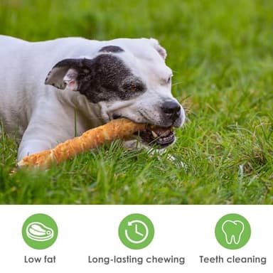 MON2SUN Dog Treats, 9 Inch Chicken Wrapped Rawhide Rolls Snacks, Teeth Cleaning and Long Lasting Chews for Medium and Large Dogs, 38.8oz (10 Count-Pack of 1) - Image 5